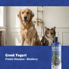 B2B Blueberry Greek Yogurt Shampoo