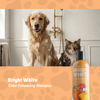 B2B Brighten White Shampoo 16oz
