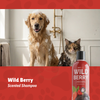 Wild Berry Shampoo 16oz(492ml)