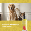 Hawaii White Ginger  16oz(492ml)