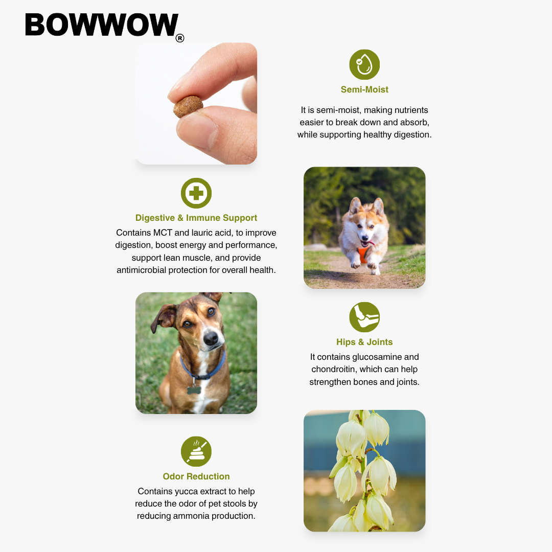 BowWow Dr. Soft Lamb Puppy 1.2kg