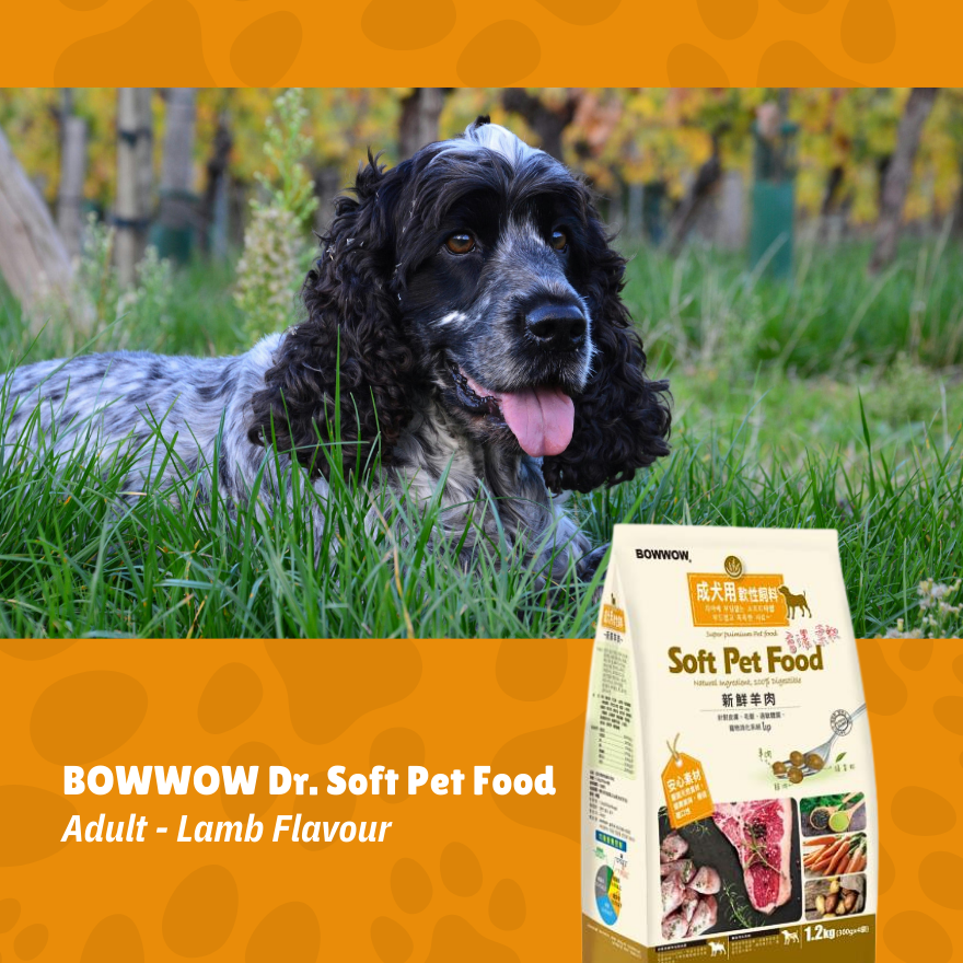 BowWow Dr. Soft Lamb Adult 1.2kg