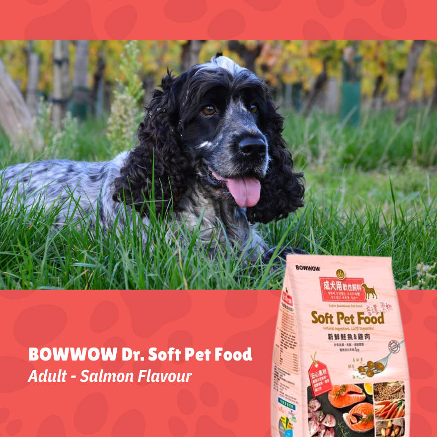 BowWow Dr. Soft Salmon Adult 1.2kg
