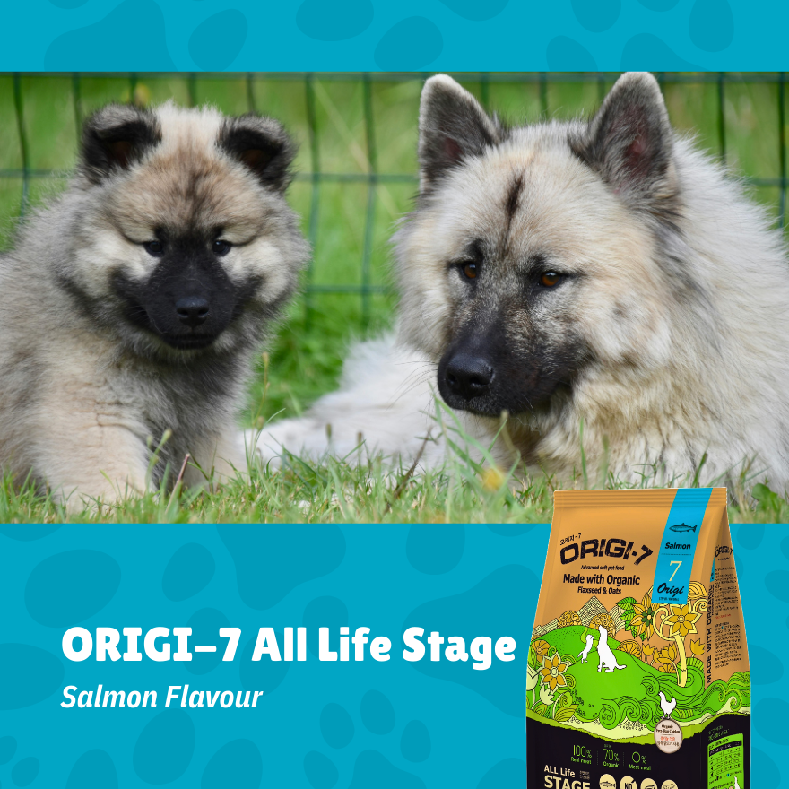 Origi-7 All Life Stage Salmon 2kg