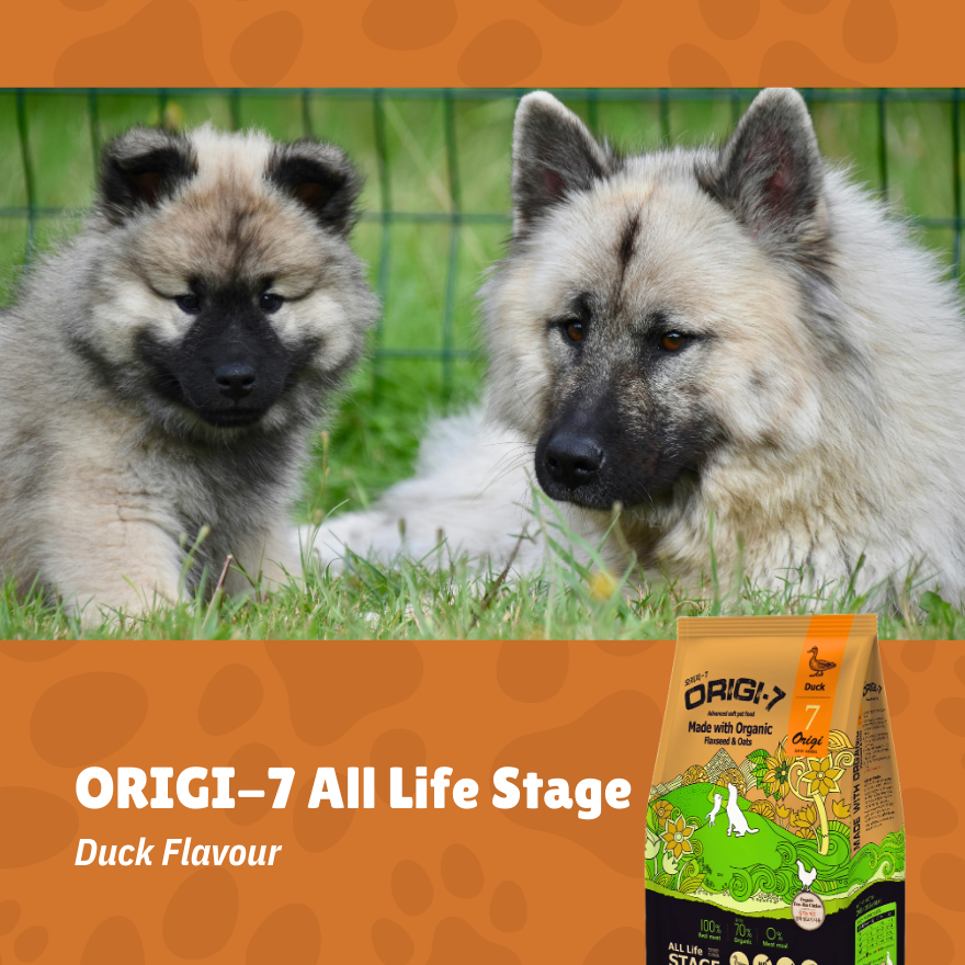 Origi-7 All Life Stage Duck 2kg
