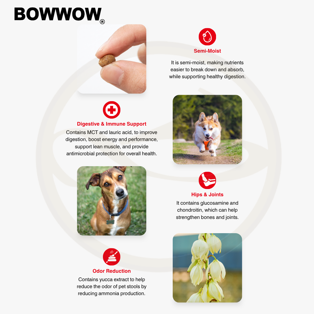 BowWow Dr. Soft Salmon Adult 3kg