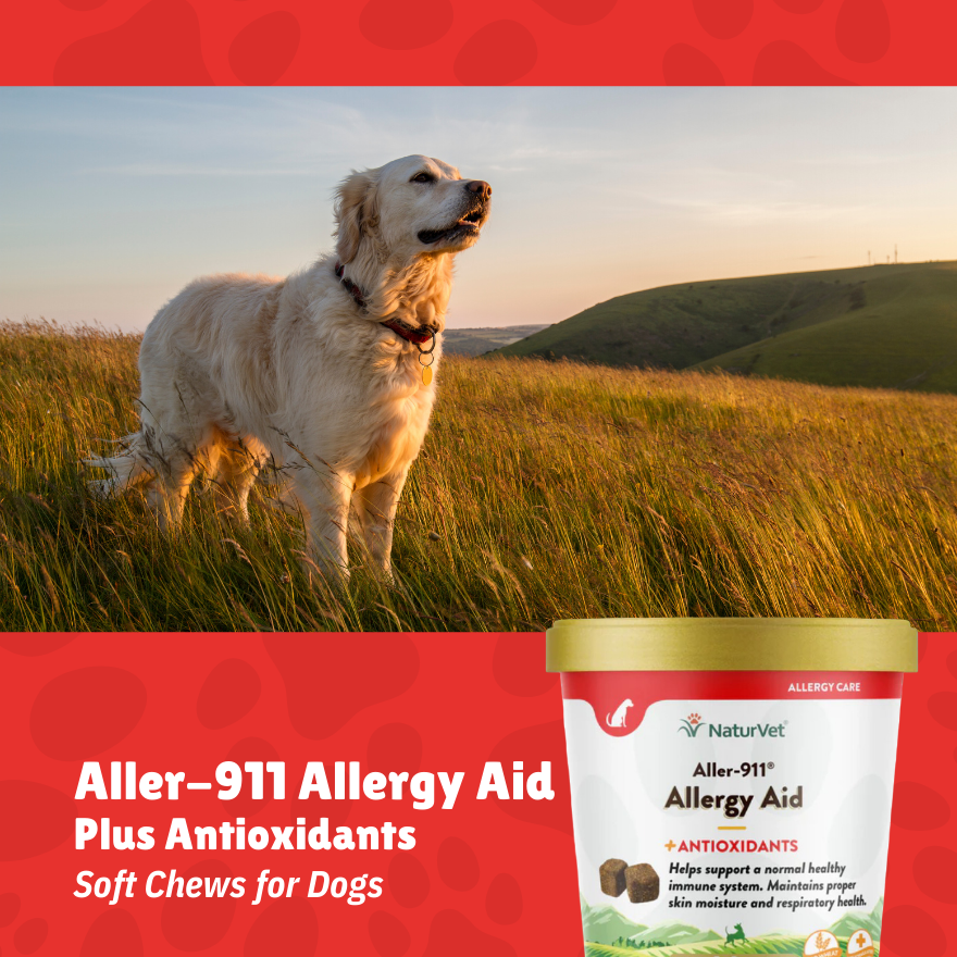 NaturVet Aller-911 Allergy Aid Soft Chew 70’s (Soft Cup)