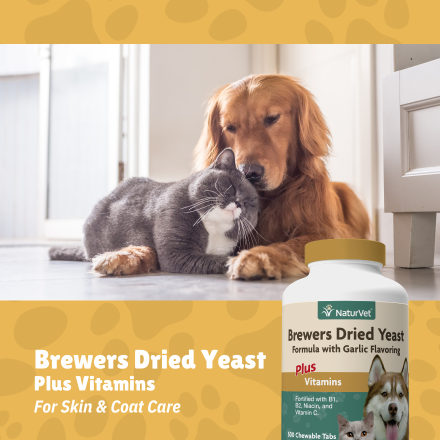 NV Brewer's Yeast & Garlic Tabs 500's