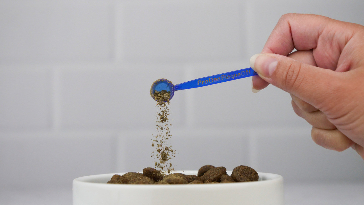 ProDen PlaqueOff Dog Powder 40g - Feeding Method