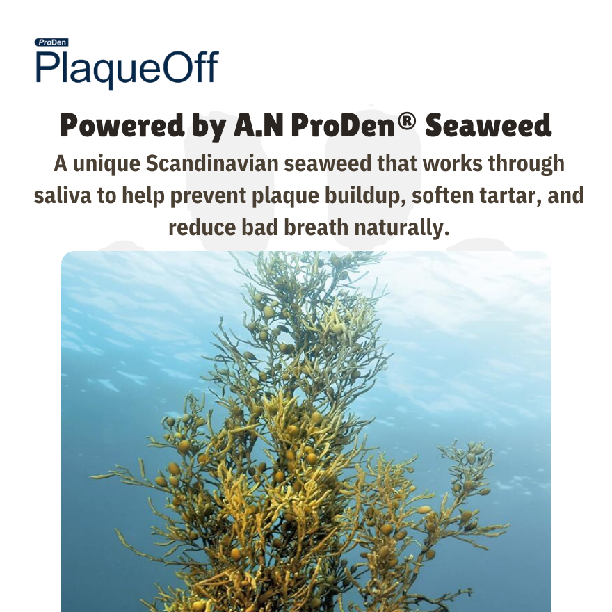 ProDen PlaqueOff A.N Kelp Features
