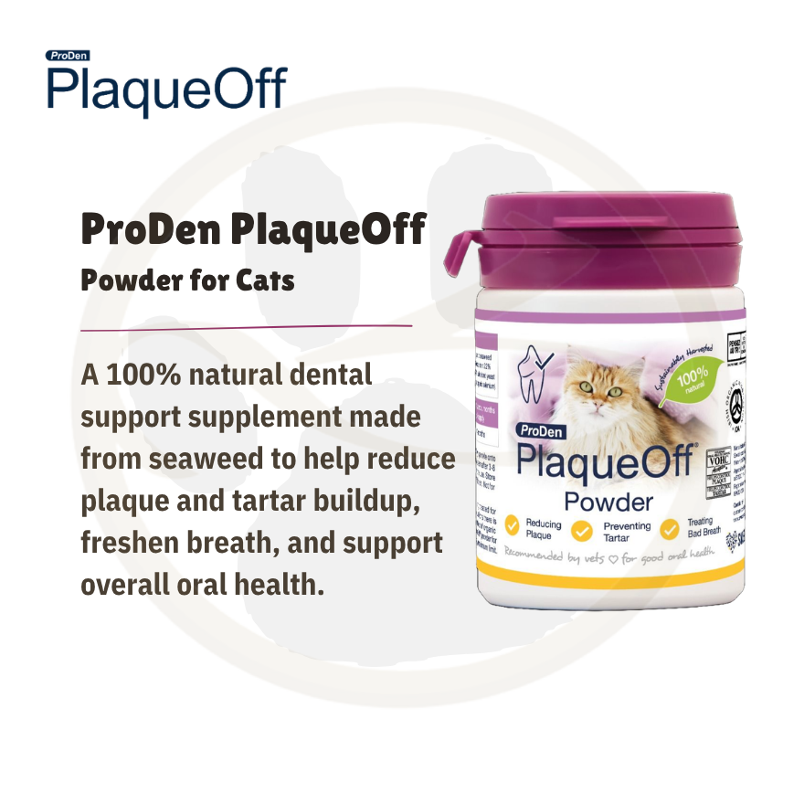 ProDen PlaqueOff Cat Powder 40g