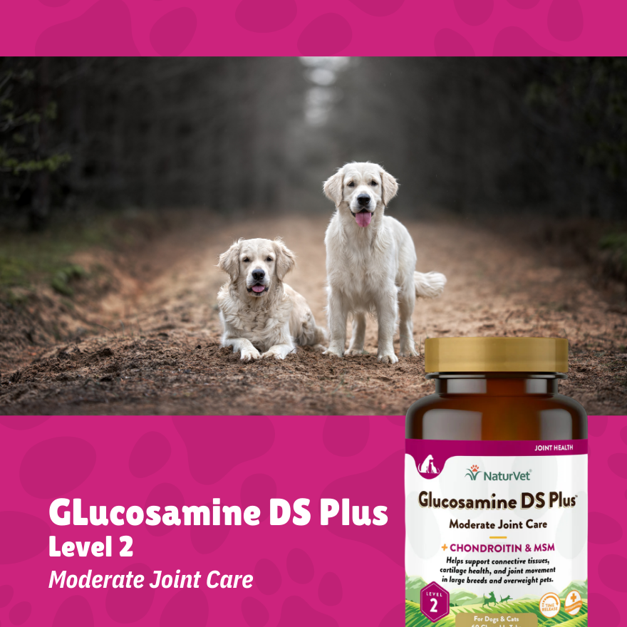 NV Glucosamine DS Double Strength w/ MSM Tabs 60’s