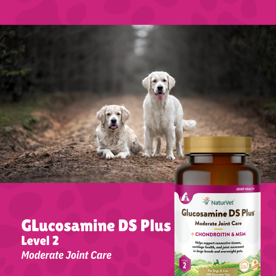 NatureVet Glucosamine DS Double Strength w/ MSM 120 Tablets 6.3oz (360g)