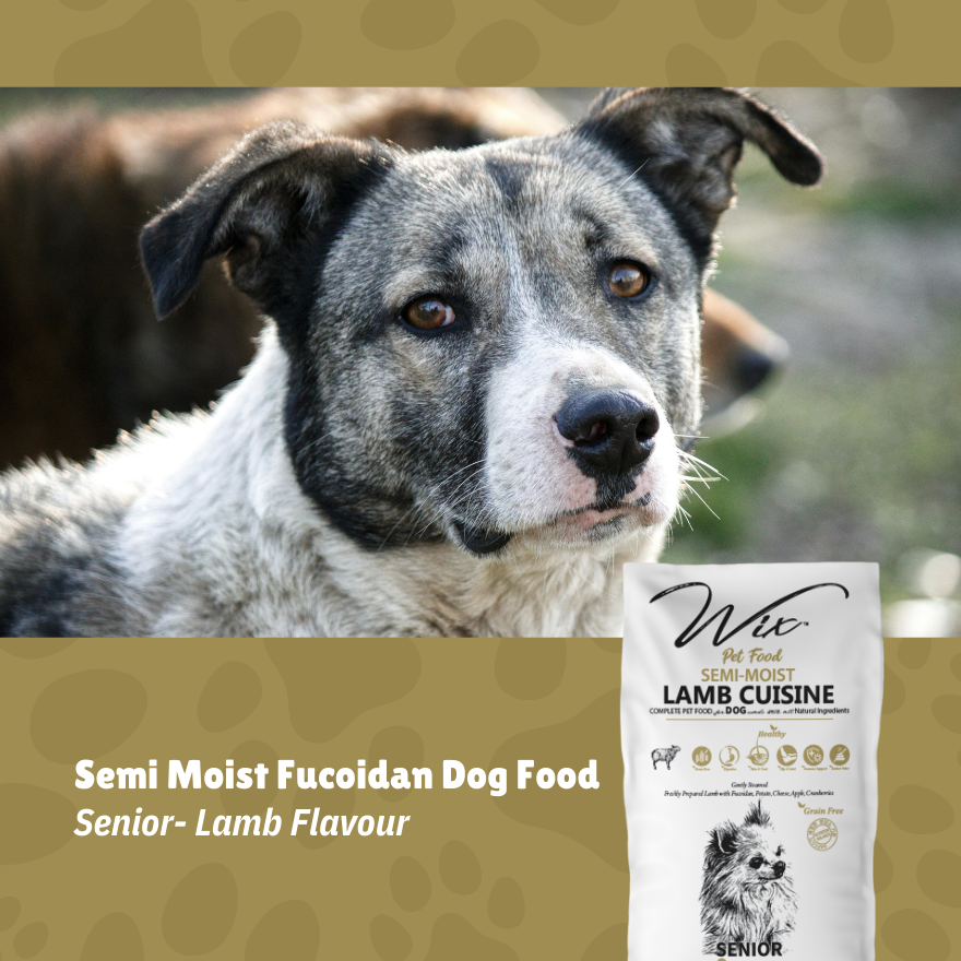 Wix Semi-Moist Fucoidan Senior Lamb 3kg