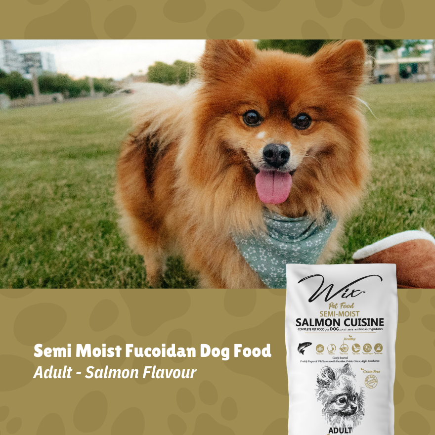 Wix Semi-Moist Fucoidan Adult Salmon 3kg