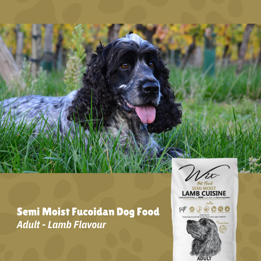 Wix Semi-Moist Fucoidan Adult Lamb 3kg