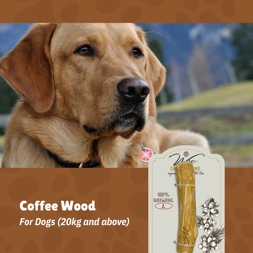 Wix Coffee Wood L