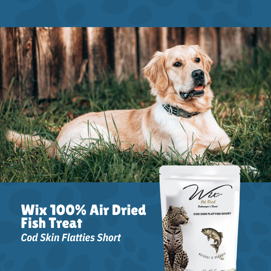 Wix Cod Skin Flatties Short 70g