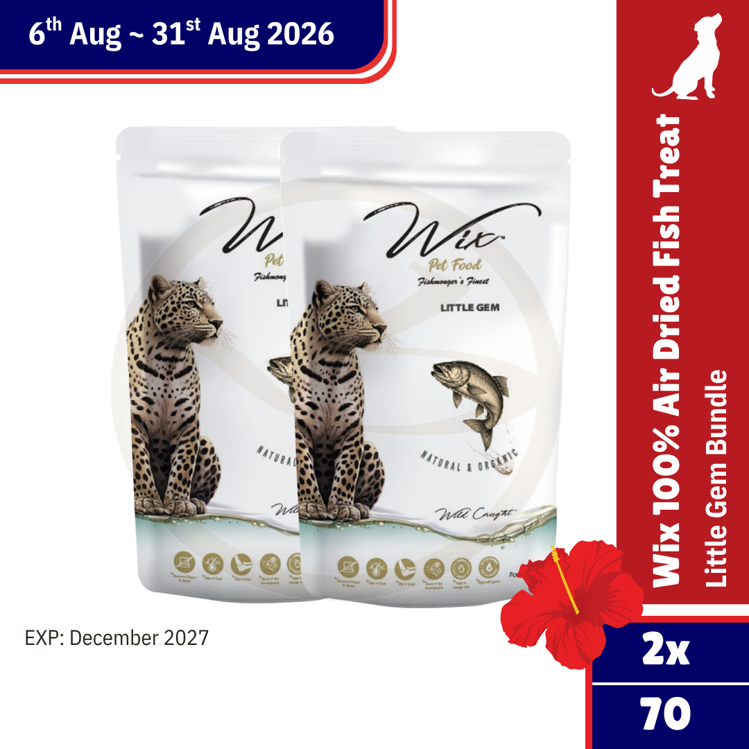 Merdeka Sale! Wix Little GEMS 70g Bundle