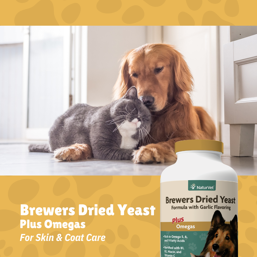 NV Brewer's Dried Yeast w/ Omegas 1000’s