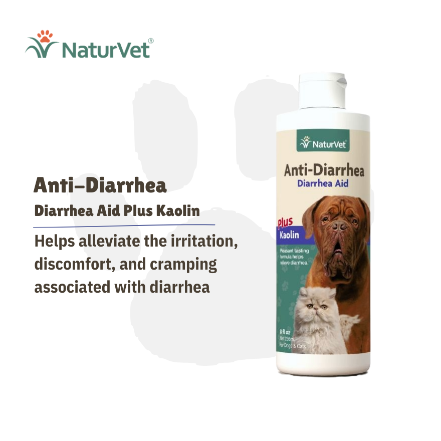 B1F1: NV Anti-Diarrhea 8oz.(227ml) (EXP - DECEMBER 2026)