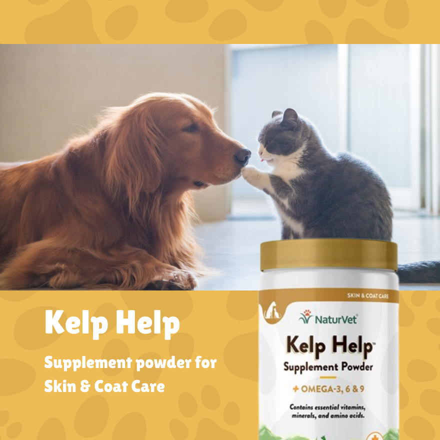 NV Kelp Help 1lb(455g)