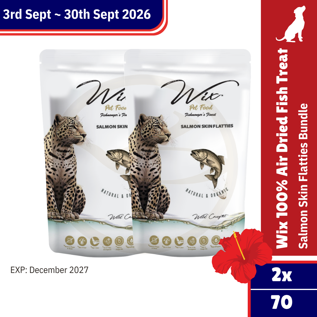 Merdeka Sale! Wix Salmon Skin Flatties 70g Bundle