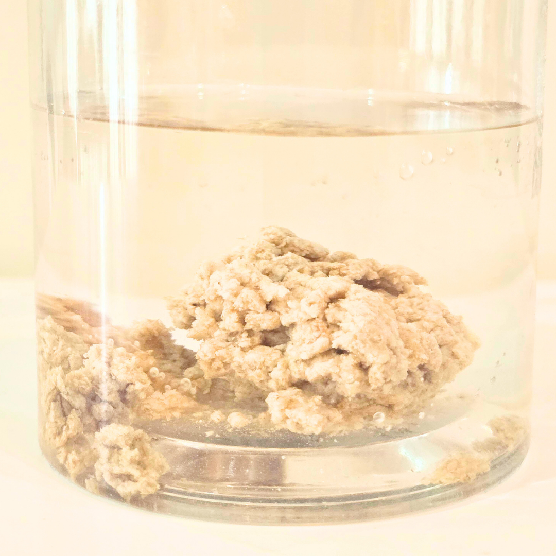 Flushable rice husk cat litter