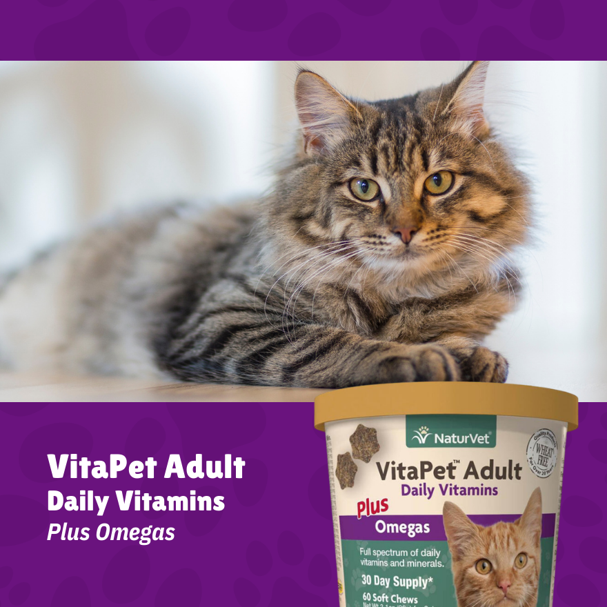 NV VitaPet Adult Plus Omegas Cat Soft Chew 60's