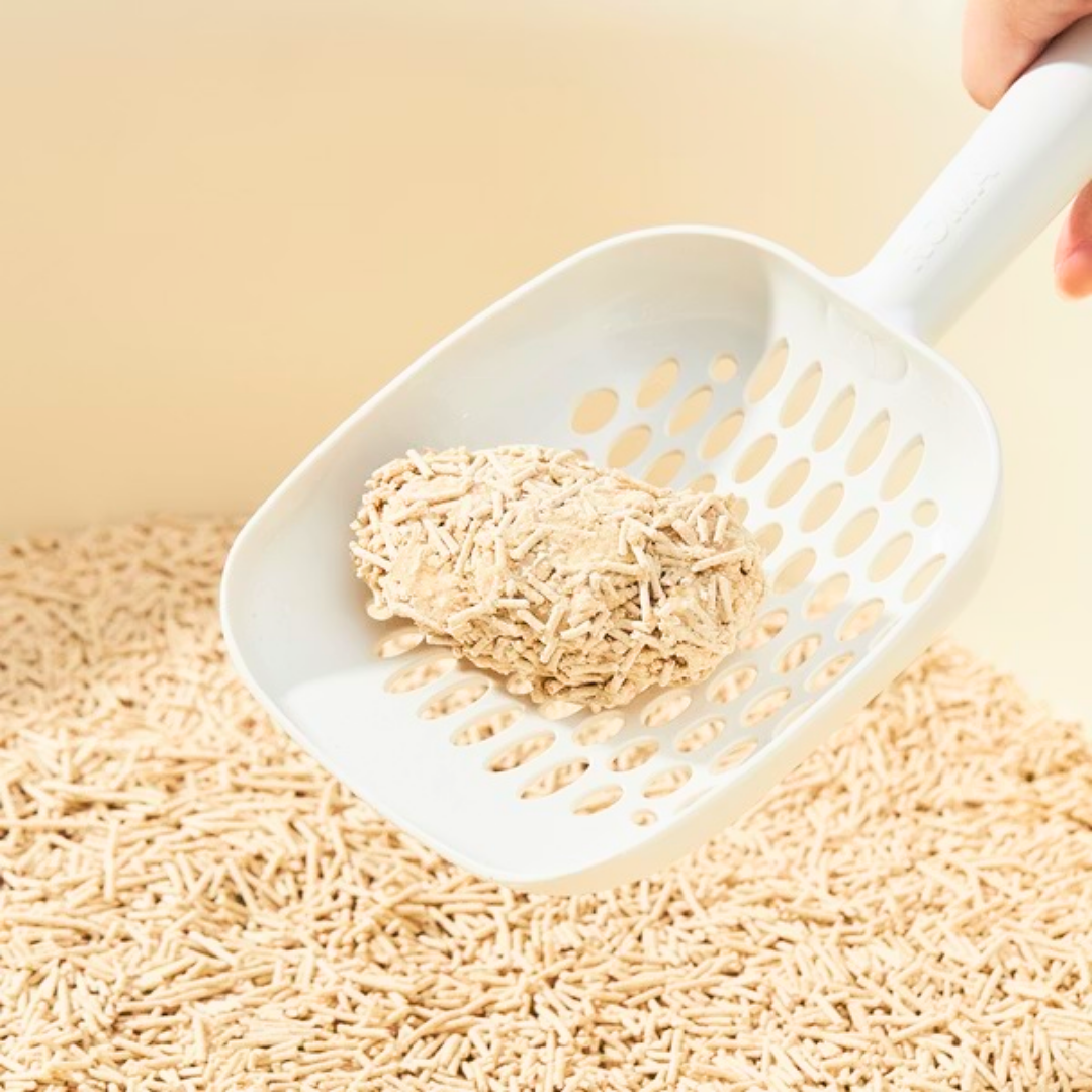 fast clumping rice husk cat litter