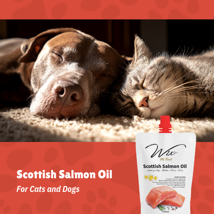 Wix Scottish Salmon Oil 150ml x4 Bundle