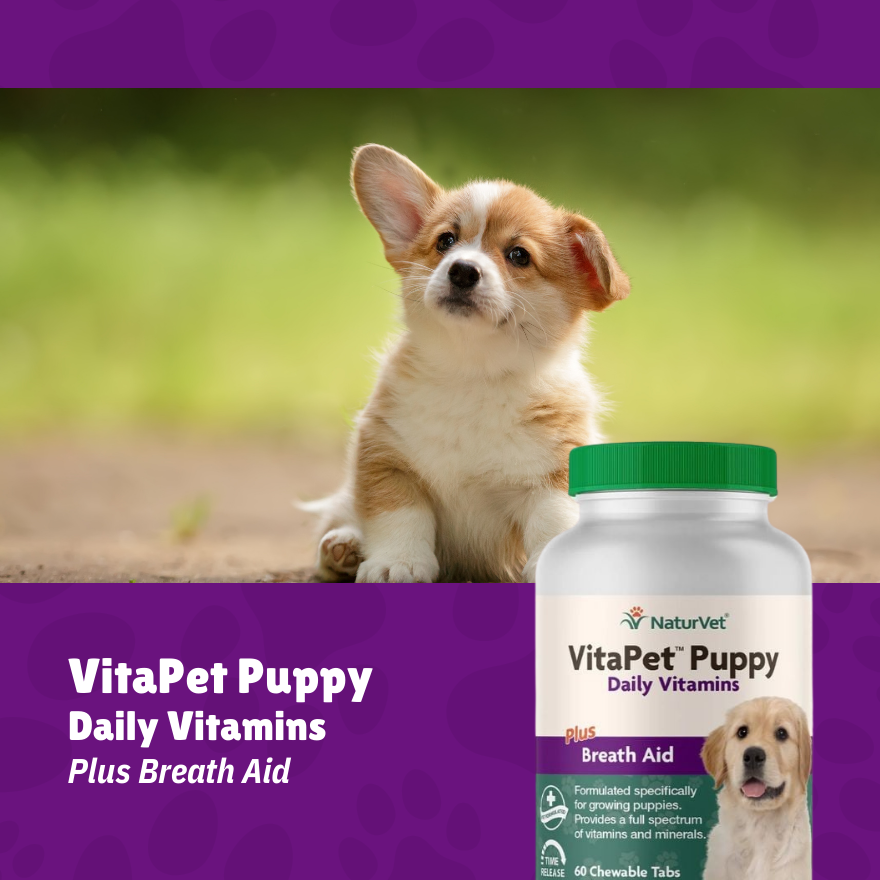 NV TR Vita Pet Puppy
