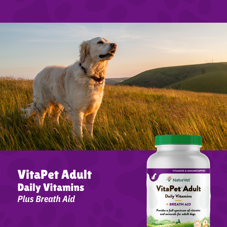 NV TR Vita Pet Adult 60’s