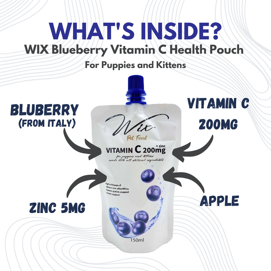 Wix Blueberry Vitamin C (Cat & Dog) 150ml x3 Bundle