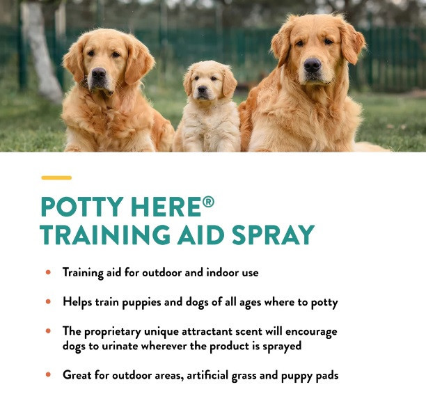 NV Potty Product Features
