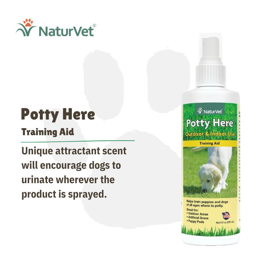 NV Potty Here 8oz.(227ml)