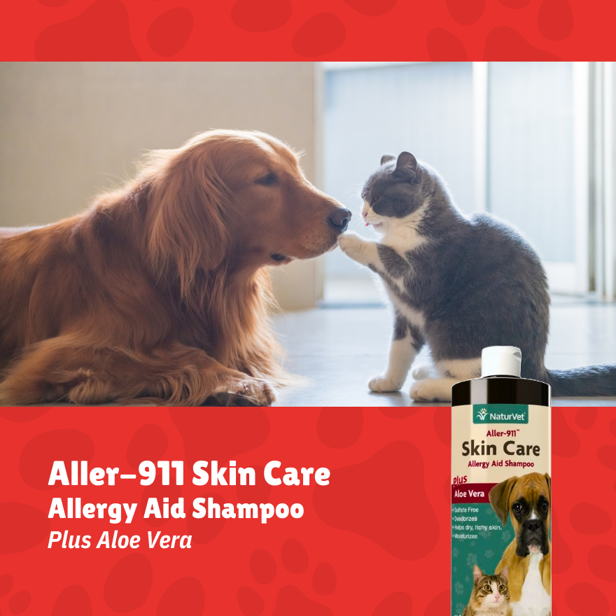 NV Aller-911 Shampoo 16oz.(473ml)