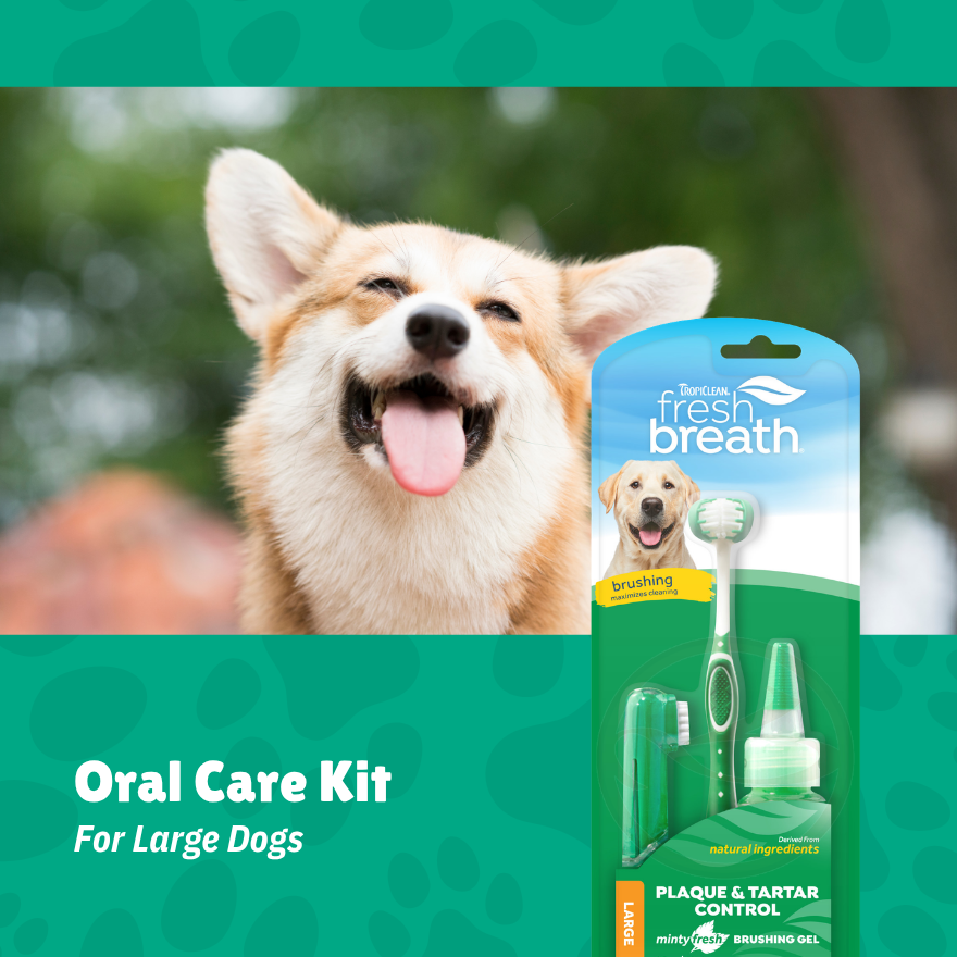 Tropiclean Oral Care Kit (Large) 2x Bundle