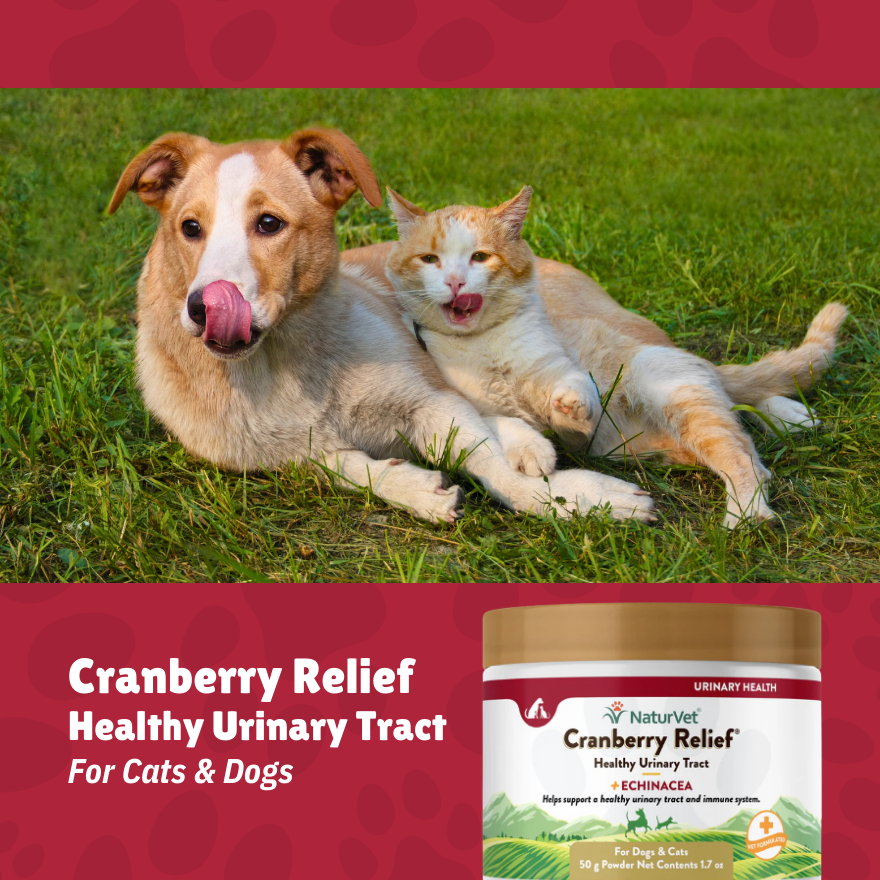 NV Cranberry Relief 50gm(1oz)