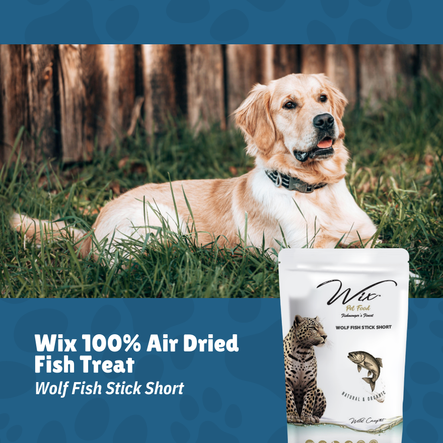Merdeka Sale! Wix Wolf Fish Stick Short 70g Bundle