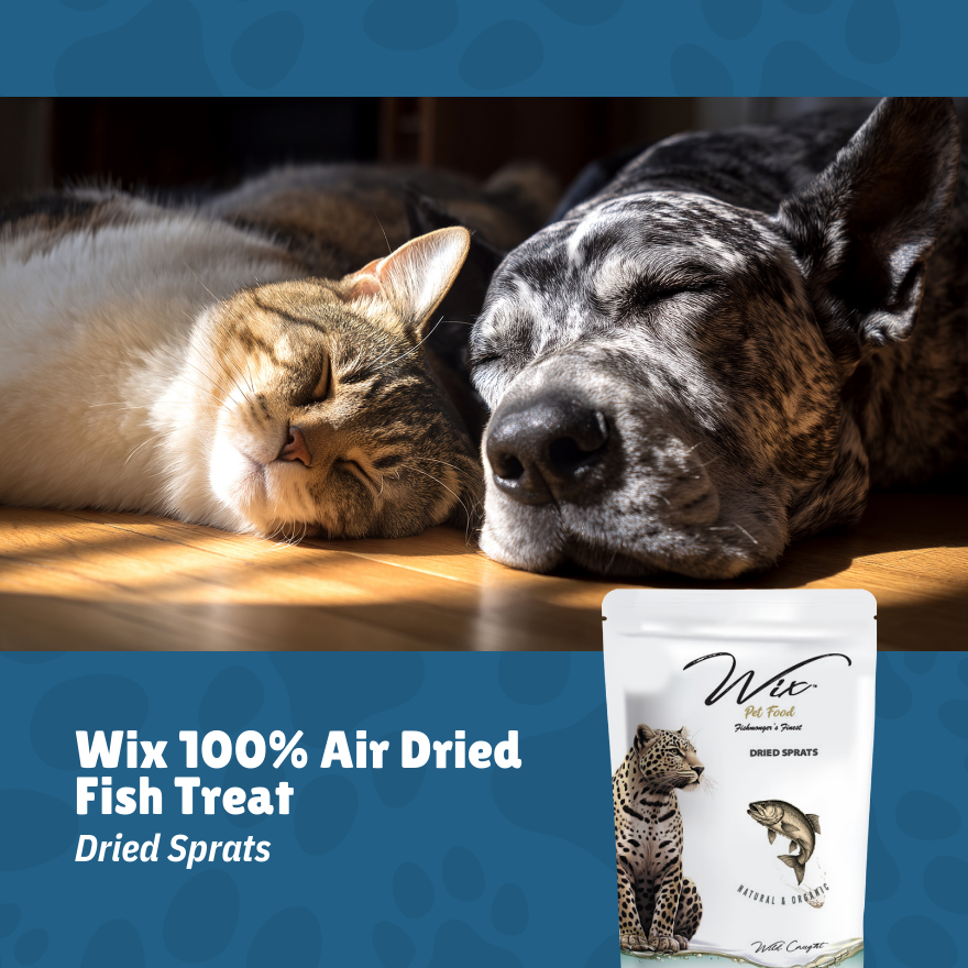 Merdeka Sale! Wix Dries Sprats 70g Bundle