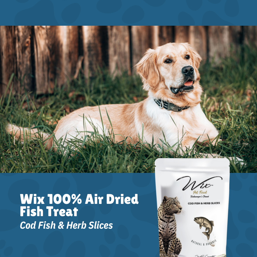 Merdeka Sale! Wix Cod Fish & Herb Slices 70g Bundle