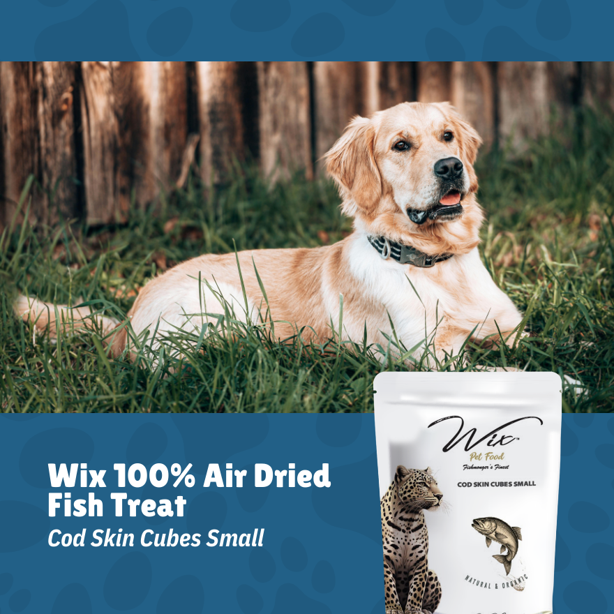 Merdeka Sale! Wix Cod Skin Cubes Small 70g Bundle