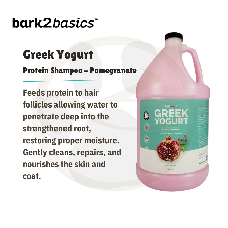 B2B Pomegranate Greek Yogurt Shampoo 1 Gallon
