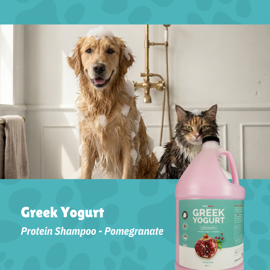 B2B Pomegranate Greek Yogurt Shampoo 1 Gallon