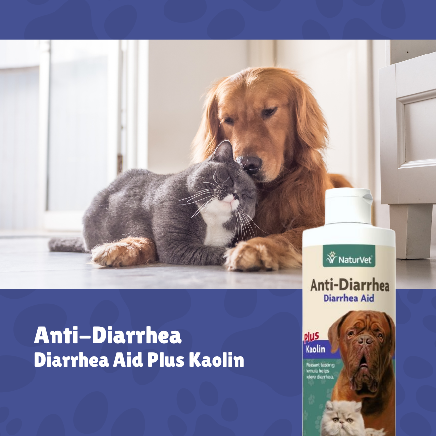 NV Anti-Diarrhea 8oz.(227ml)