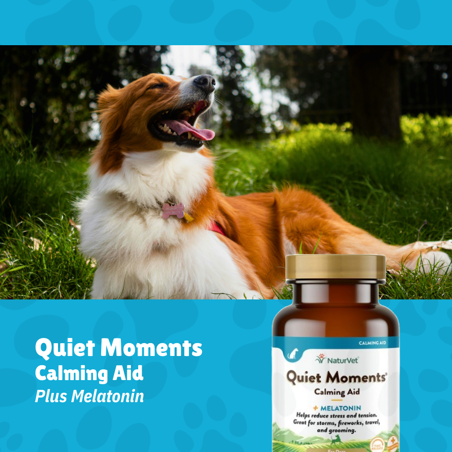 NV Quiet Moment Calming Aid 30’s