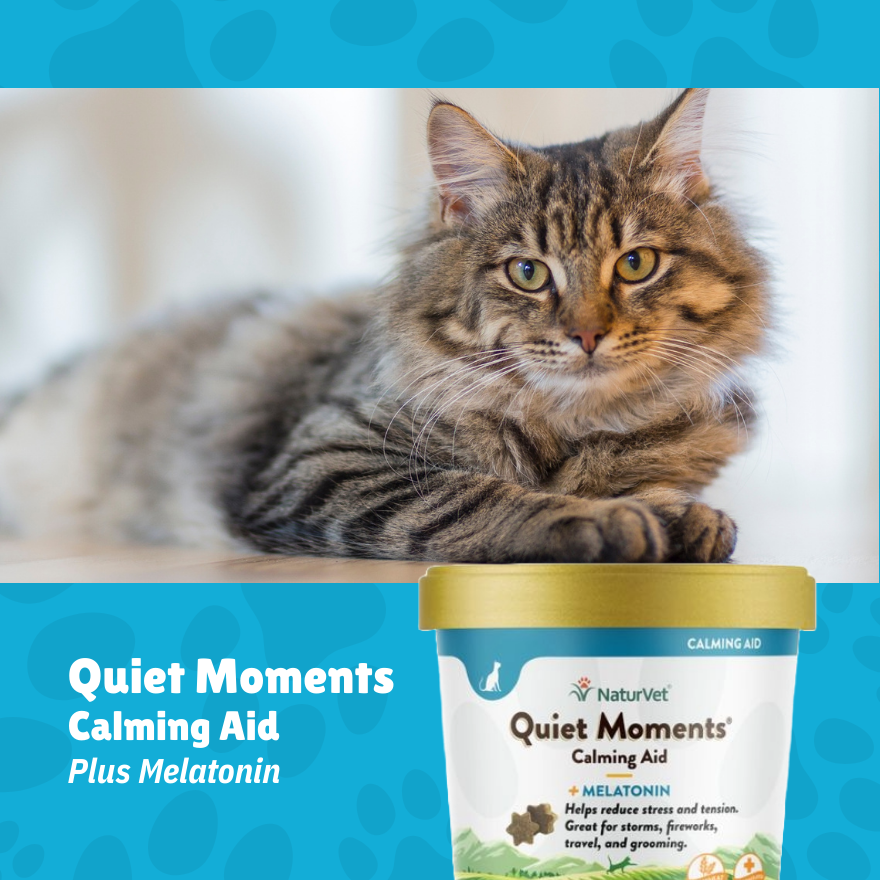 NV Quiet Moments Cat Soft Chew Plus Melatonin 60’s