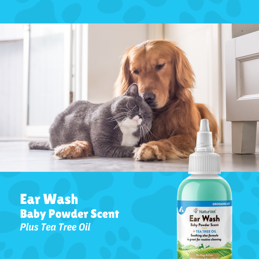 NV Ear Wash Tea Tree w/ Baby Powder 4oz(118ml)