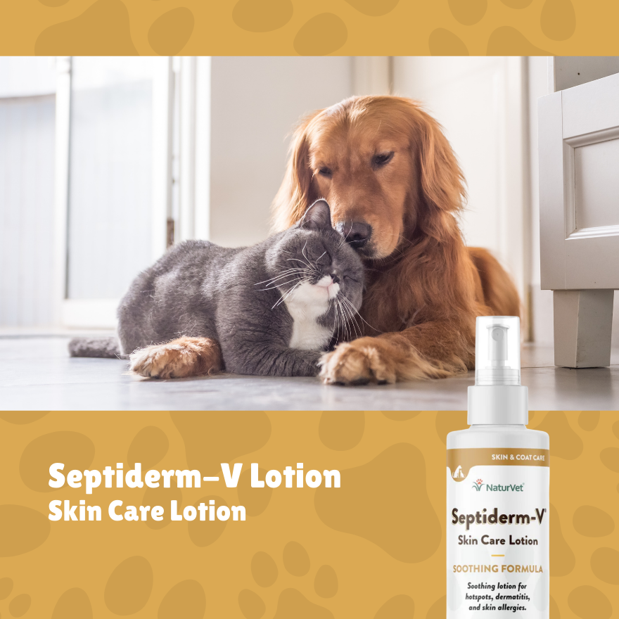 NV Septiderm V Lotion Spray 8oz (Green Tea) 8oz.(227ml)